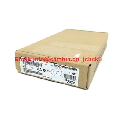 SCHNEIDER	BMEP582020	PLCs CPUs	Email:info@cambia.cn